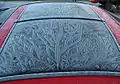 Eisblumen auf einem Auto-Oberlicht