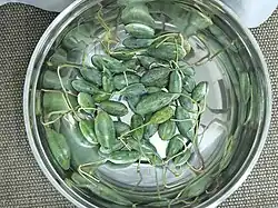 Kapernäpfel, -beeren (Riesenkapern) (ganz junge Früchte)