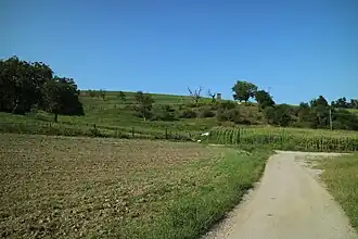 Fuchsriegel von Süden (Fuchsriegelweg)