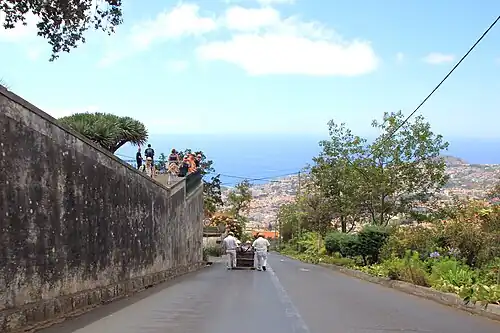 Schlitten auf Talfahrt mit Blick auf Funchal und die Bucht, 2016