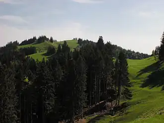 von der Sondereggersweid im Südwesten