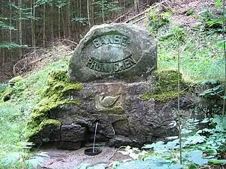 Gänsebrünnchen am Südwesthang