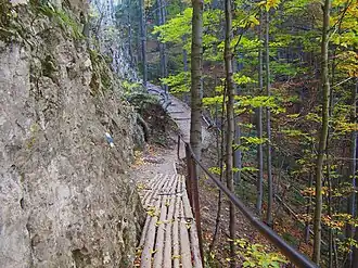 Wanderweg zum Gipfel