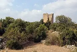 Turm und Teil der Umfassungsmauer