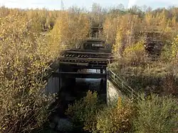 Die Gösel im ehemaligen Bergbaugelände