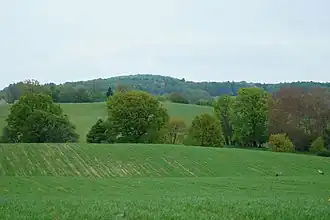 Głowacz von Süden aus der Umgebung von Scienne (Zeinicke)