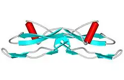 Glial Cell Line-derived neurotrophic Factor