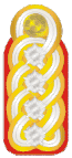 Dienstgradabzeichen Armeegeneral