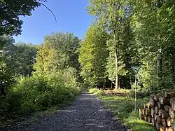 Naturschutzgebiet am Wanderparkplatz Mul