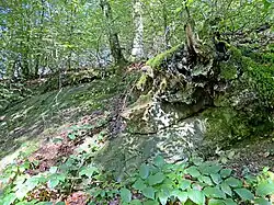 Felsband im Mohlsbachtal