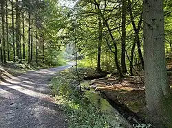 Wanderweg am Mohlsbach