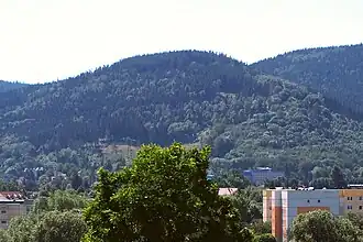 Der Nordhang des Zimmerberges