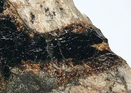 Gadolinit-(Y) aus Tvedestrand, Norwegen (Sichtfeld&nbsp;2&nbsp;cm)