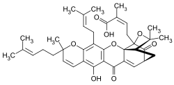 α-Gambogasäure