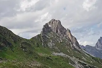 Gargglerin von Süden