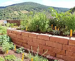 Apothekengarten des Deutschen Apotheken-Museums am Heidelberger Schloss