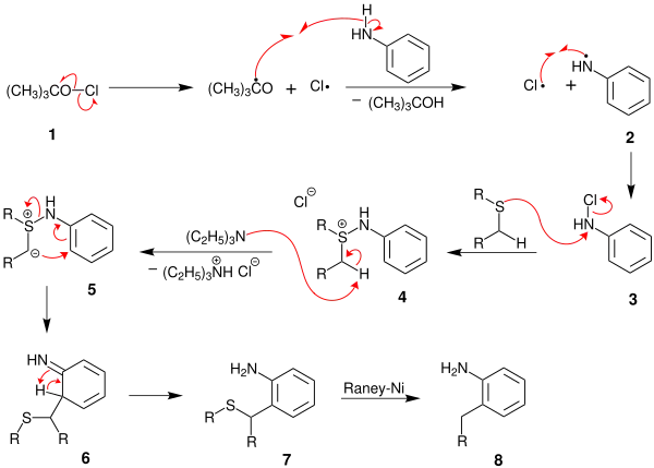 R bezeichnet einen Alkylrest, diese können gleich oder verschieden sein.