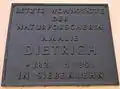 Gedenktafel Amalie Dietrich in Siebenlehn, Markt 25