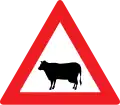 13a: Achtung Tiere