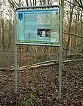 Moderne Infotafel zur Wallanlage auf dem Burgberg
