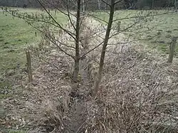 Trockenes Bachbett zwischen Viehweiden