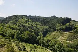 Blick vom Köbelesberg auf den Geigerskopf