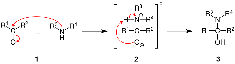 Allgemeiner Reaktionsmechanismus der Halbaminal-Bildung