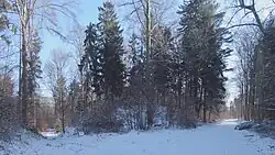 Eine der Halden am Schwarzen Weg