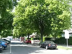 Mönkeberger Straße