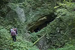 Gfatterhofhöhle