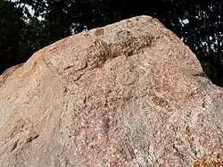 Gänge mit grobkristallinem, pegmatischem Gestein (Neosom) im Wechsel mit dunkleren „lagigen“ Bereichen (Melanosom)