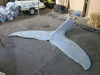 Ausgeformte, abnehmbare Fluke, 2019 Saltriver