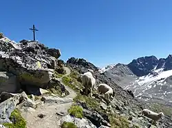 Gipfelkreuz des Hinteren Schönecks