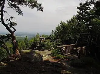 Gipfel des Mandlsteins (874 m)