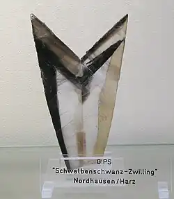 Schwalbenschwanz-Zwilling aus Nordhausen im Harz