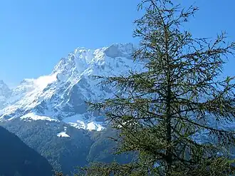 Gitschen, Sicht von Altdorf