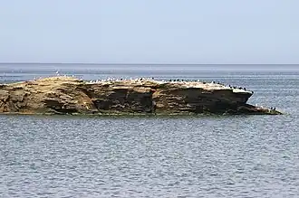 Klippe bei Table&nbsp;Head (2010)