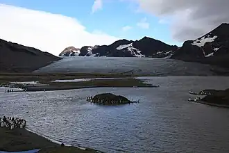 Mündung des Buxton-Gletschers in die Saint&nbsp;Andrews&nbsp;Bay