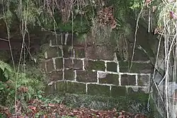 Eine der den Bach speisenden Quellen (hier trocken gefallen)