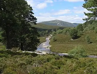 Blick aus dem Glen Quoich von Süden zum Beinn Bhreac