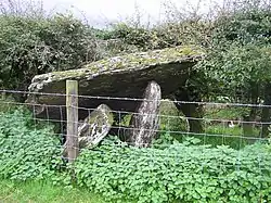 Portal Tomb von Glenroan