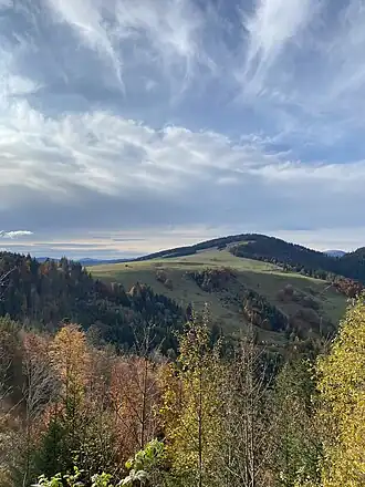 Der Gipfel des Hochgescheid über den Abhängen zum Prägbachtal