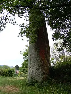 Menhir von Glomel