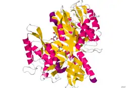 Glutaminase