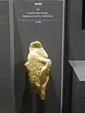 15 cm großer Gold-Nugget (Smithsonian, Washington)