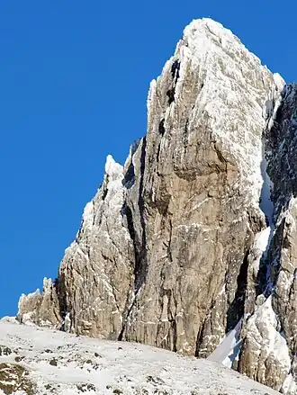 Goldkappl von Süden