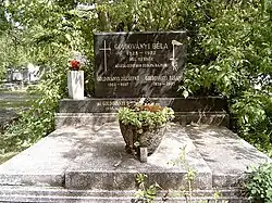 Béla Goldoványi, Sprinter und Europameister