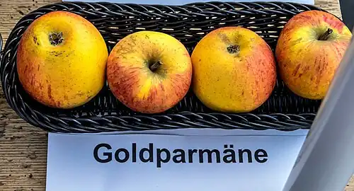 Goldparmänen