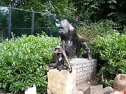 Gorilla mit Jungen