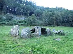 Allée couverte von Minguionnet